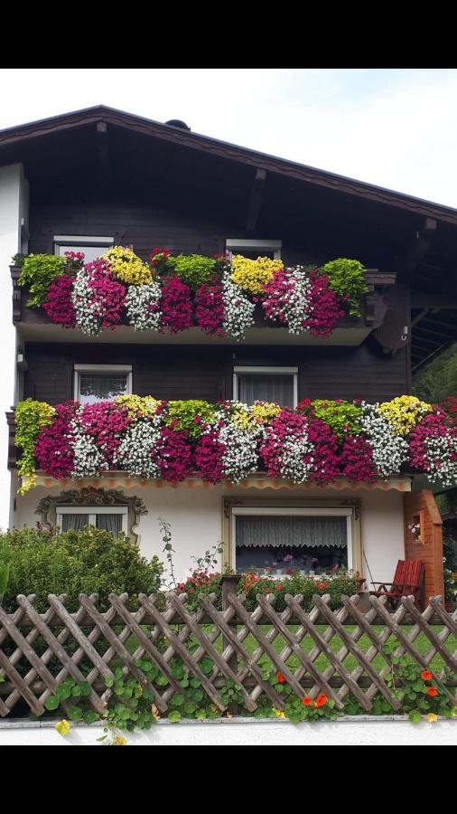 Appartement Haus Bergblick à Walchsee Extérieur photo