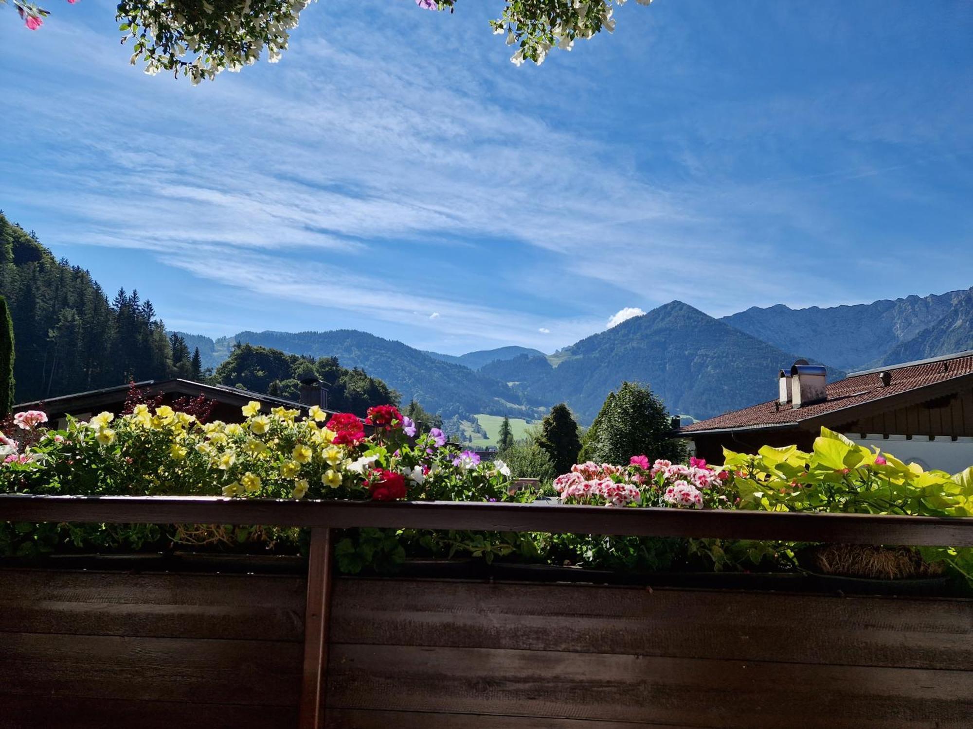 Appartement Haus Bergblick à Walchsee Extérieur photo
